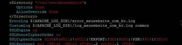 apache configuração simples de padrão de log 